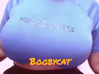 Boobycat