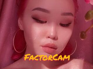 FactorCam