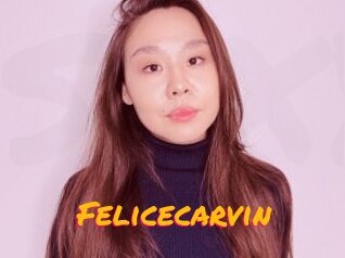 Felicecarvin