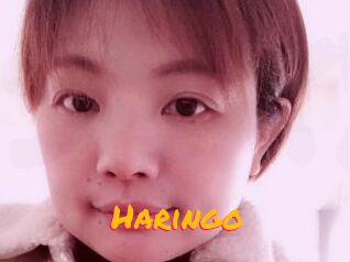 Haringo