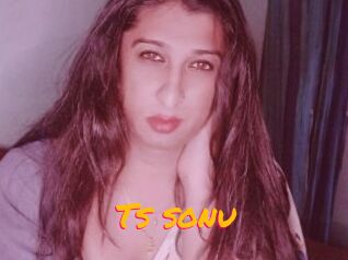 Ts_sonu