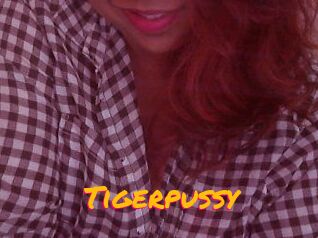 Tigerpussy